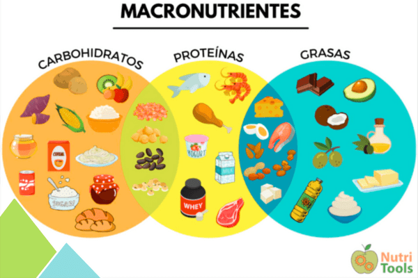 Infografía de macronutrientes esenciales para nutrición y marcha nórdica