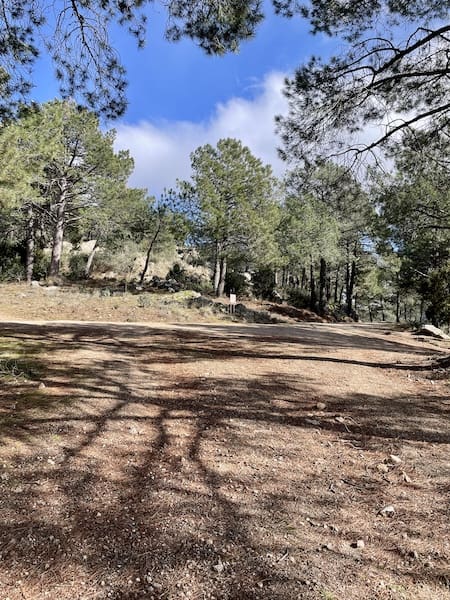 Cruce de pistas en la ruta de marcha nórdica. 