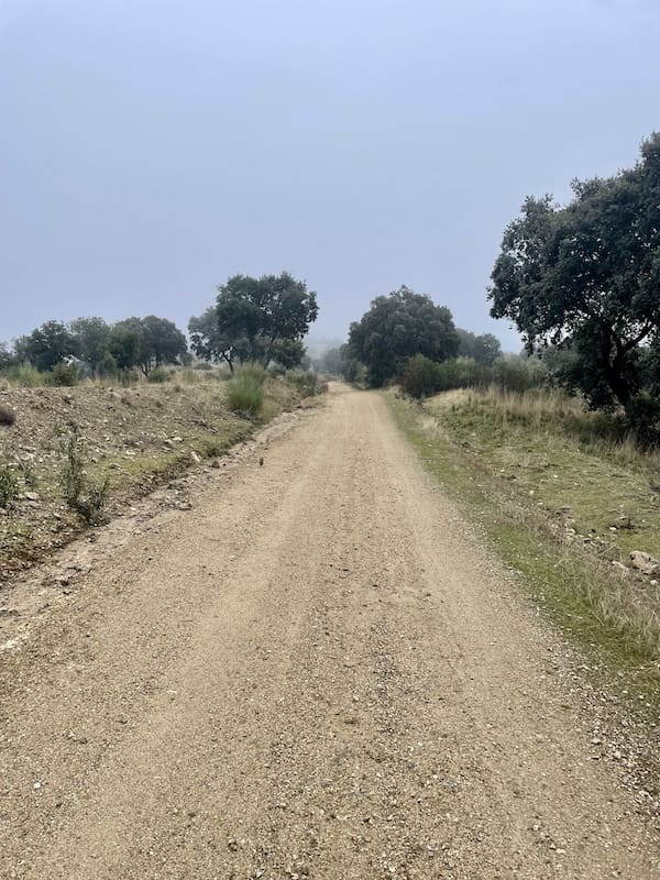 Pista por la que transcurre la ruta de marcha nórdica en Valdemorillo