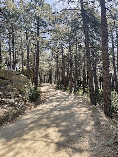 Pista en la que realizamos marcha nórdica en la ruta del cerro del castillo
