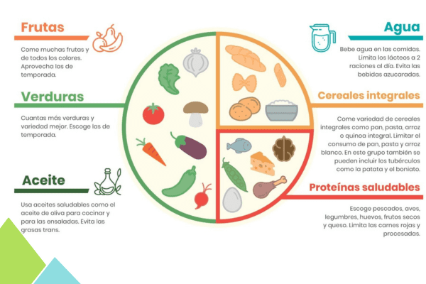 El plato de Harvard para una alimentación saludable para practicar marcha nórdica
