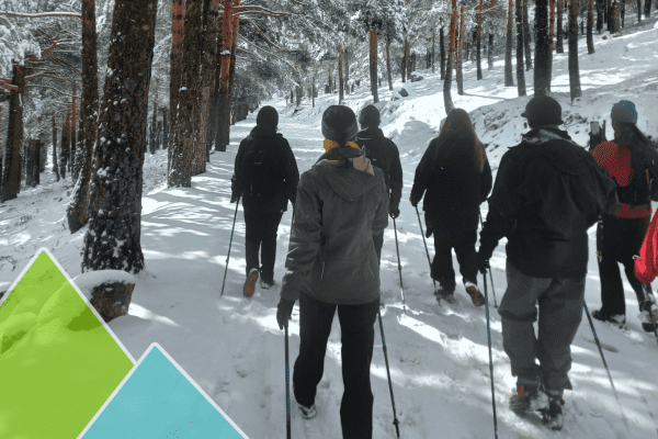 Marcha nórdica por el bosque nevado para volver a la rutina después de las fiestas