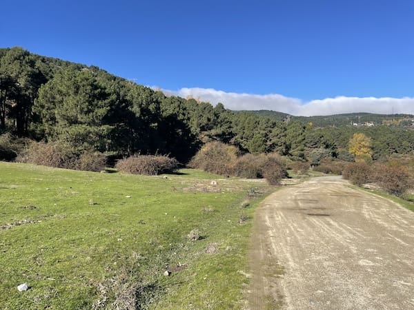 Pista y dehesa en la ruta de marcha nórdica de los Poyales