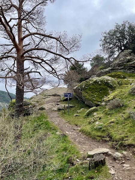 Mirador de los Alerces en la ruta de marcha nórdica por El Escorial