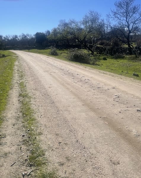 Pista de vuelta al punto de partida de la ruta de marcha nórdica en la sierra de Guadarrama.    