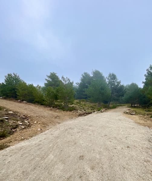 Pista al mirador en la ruta de marcha nórdica al Pico Abantos.