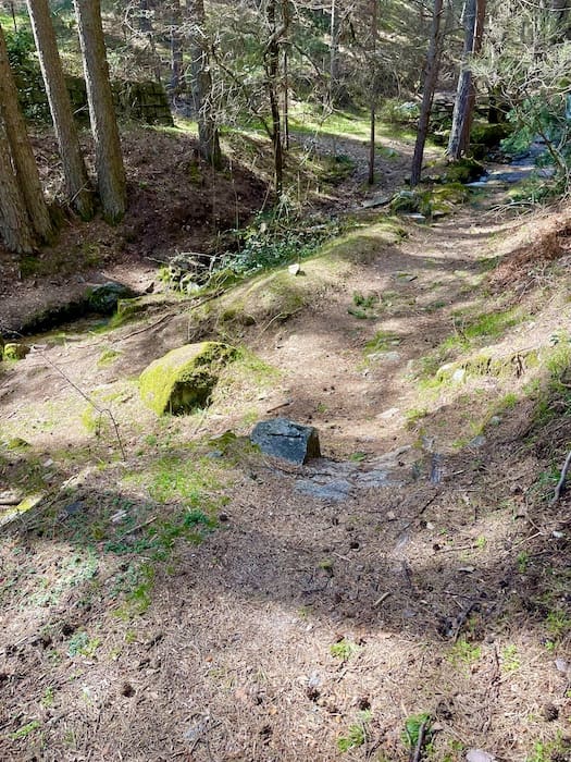 Arroyo en la ruta de marcha nórdica en la sierra de Guadarrama. 