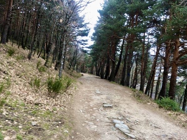 En la ruta de marcha nórdica en Cercedilla encontramos un camino pedregoslo.