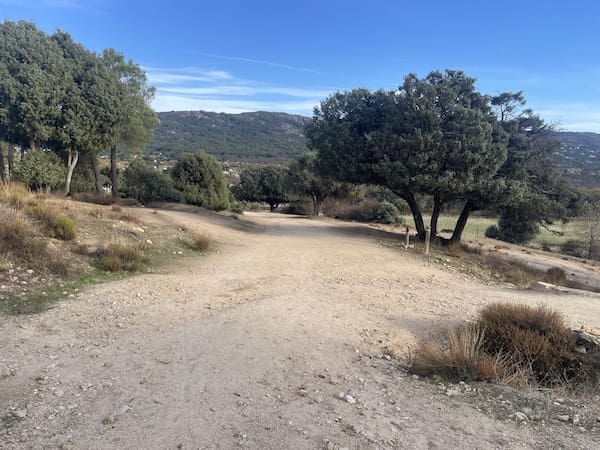 Camino para la práctica de marcha nórdica. 