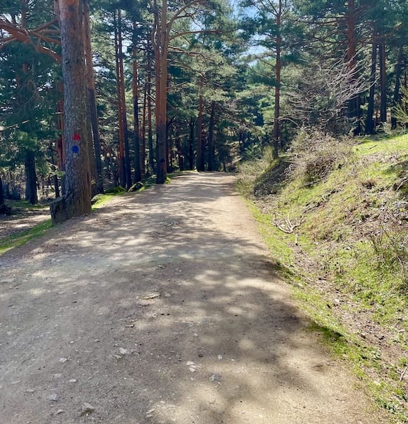 Pista para practicar marcha nórdica