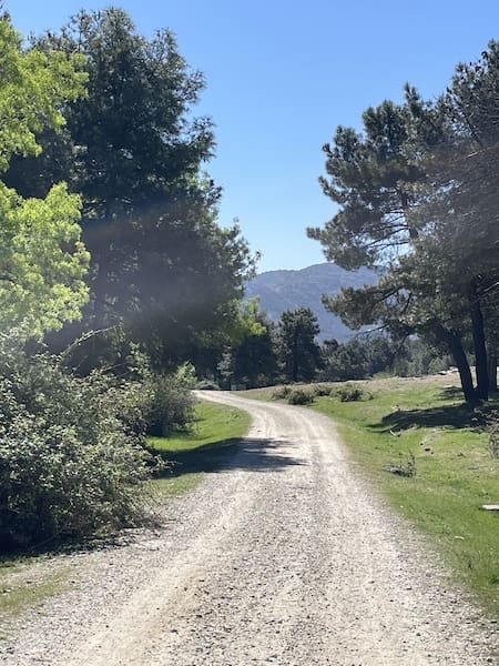 Pista para marcha nórdica en prados del pinar