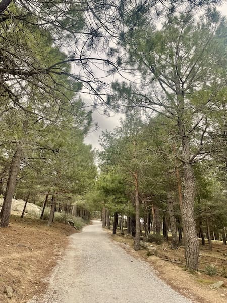 Pista de marcha nórdica en la ruta por Navacerrada. 