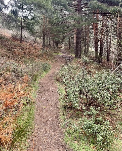Sendero de marcha nórdica en la Sierra de Guadarrama.