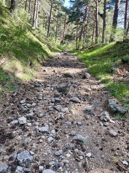 Cmino por el que transcurre la ruta de marcha nórdica en Cercedilla