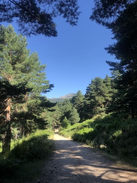Pista de bajada en la ruta de marcha nórdica al Mirador de las Canchas