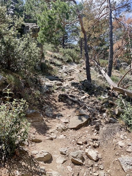 Sendero con piedras y raíces en la ruta de marcha nórdica a la casa de las mariposas