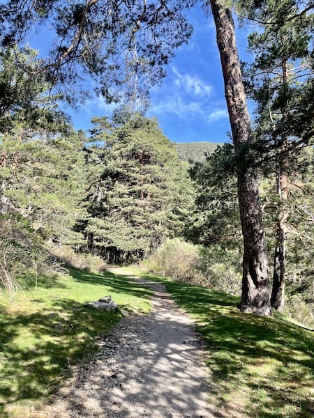Camino en la ruta de marcha nórdica en Cercedilla