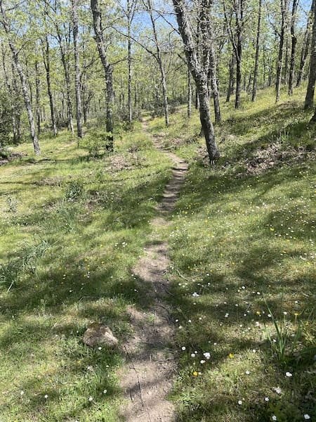 Sendero de la ruta de marcha nórdica circular al cerro de la Golondrina