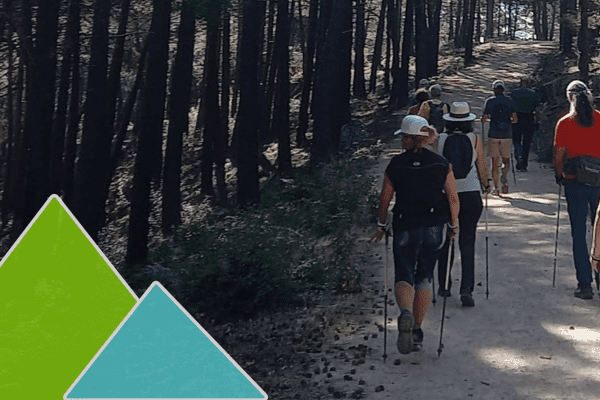 Grupo practicando marcha nórdica en la Sierra de Guadarrama