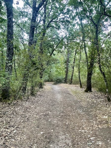 Camino hacia la Ermita en la ruta de marcha nórdica