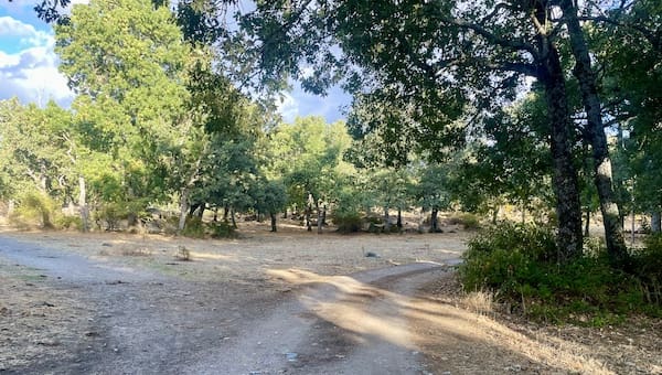 Pista forestal en la ruta de marcha nórdica por la Herrería