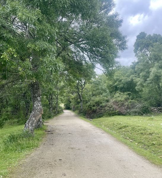 Pista para una buena técnica de marcha nórdica