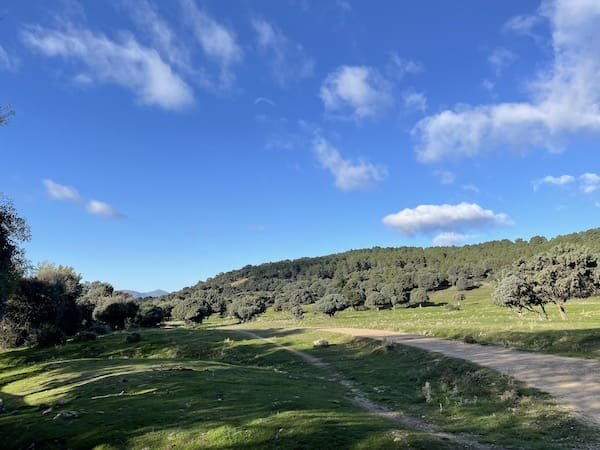 Pista por la que avanzamos practicando marcha nórdica hacia la fuente del Cornocal