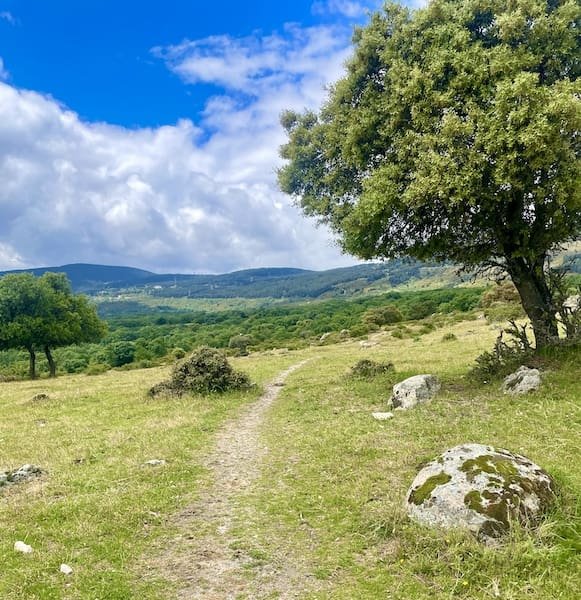 Sendero que tomamos en la ruta de marcha nórdica al búnker de Los Molinos