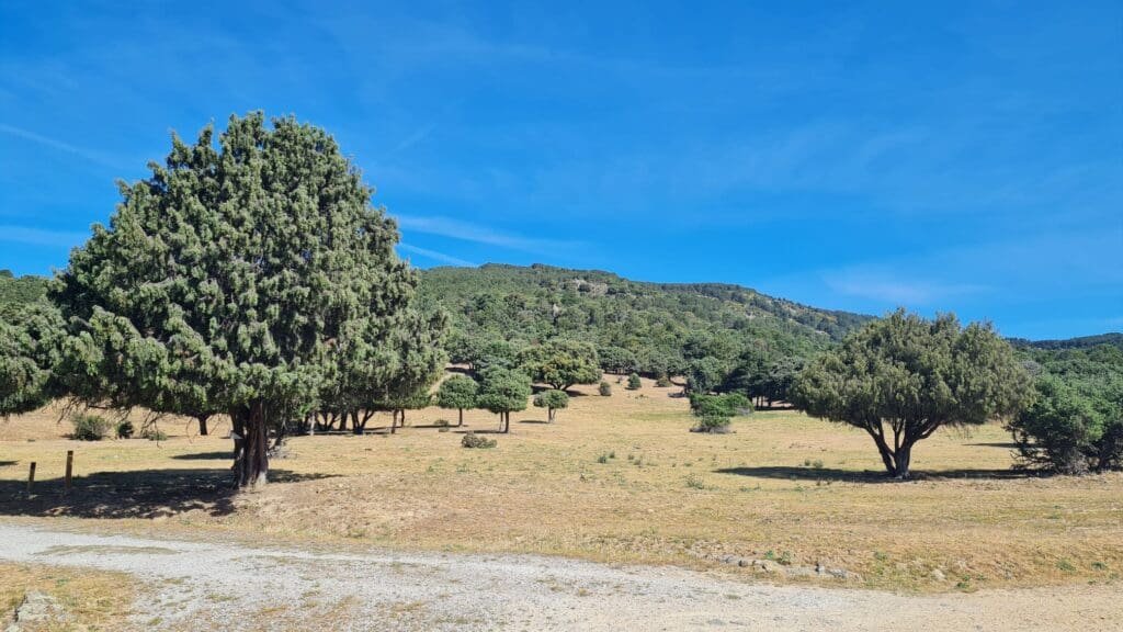 Camino de vuelta en la ruta de marcha nórdica