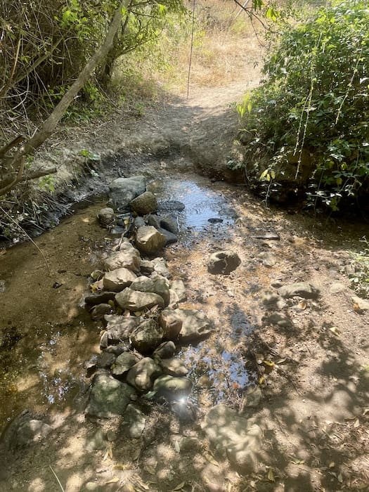 Arroyo en la ruta de marcha nórdica