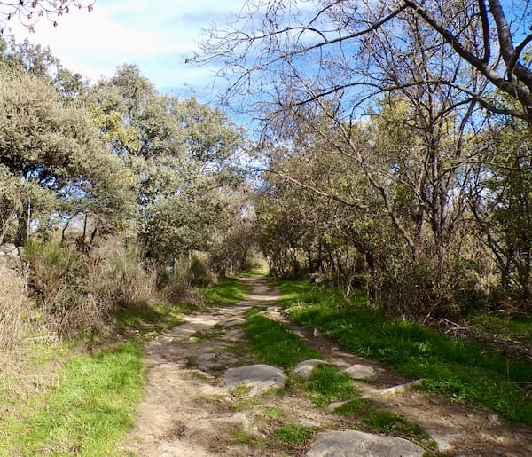 Camino con piedras en la ruta de marcha nórdica de diciembre de 202