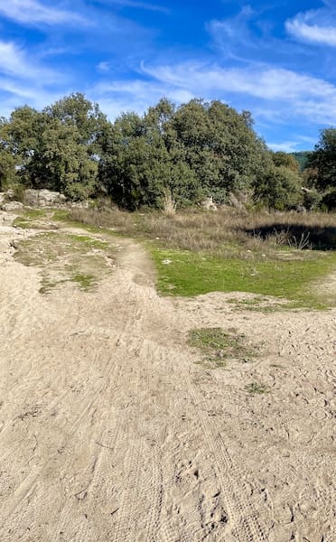 Pista para marcha nórdica en la ruta entre Alpedrete y c.Mediano en diciembre de 2026