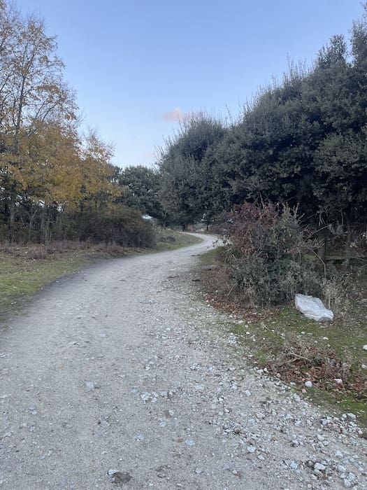 Pista en la ruta de marcha nórdica por Alpedrete- 18 Noviembre-2026