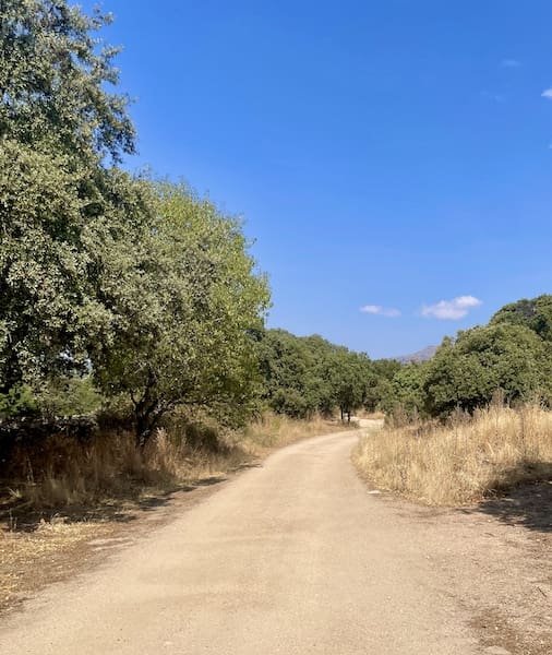 Pista para la practica de marcha nórdica en collado Mediano