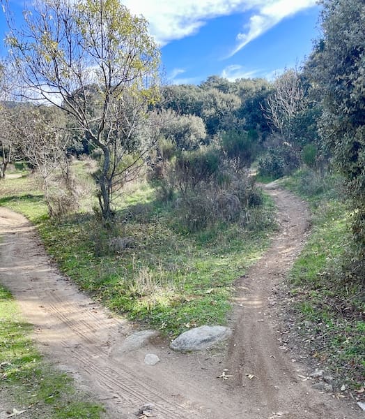Sendero para marcha nórdica en la ruta de C.Mediano en diciembre de 2026