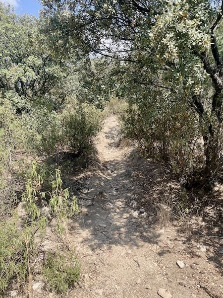 Sendero en ascenso pronunciado en la ruta de marcha nórdica